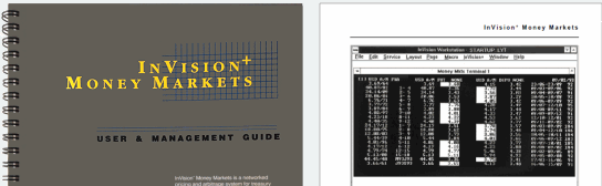 Technical writing samples - InVision Money Markets User Guide: Brendan Munnelly