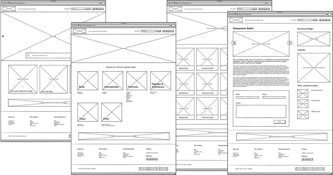 Introduction to the Box Model