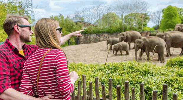 Dublin Zoo