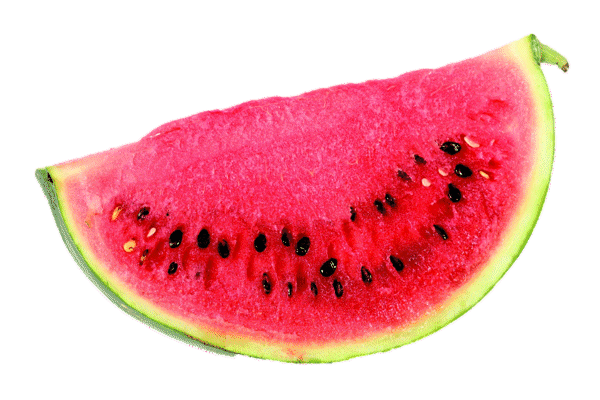 Watermelon Wonder