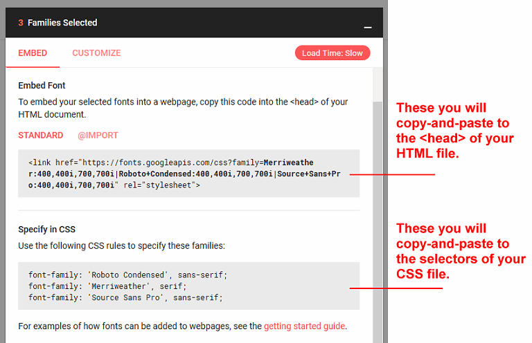 Project Animation Google Fonts
